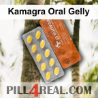 Kamagra Oral Gelly 511