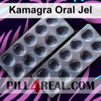 Kamagra Oral Jel 406