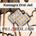 Kamagra Oral Jell 841