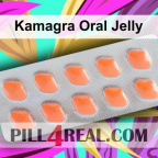 Kamagra Oral Jelly 295