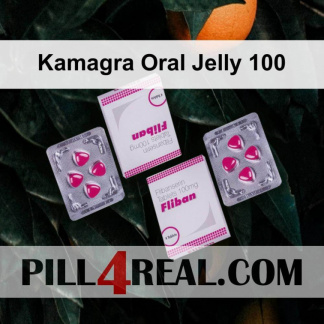 Kamagra Oral Jelly 100 033