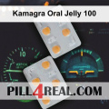 Kamagra Oral Jelly 100 060