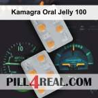 Kamagra Oral Jelly 100 060