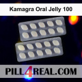 Kamagra Oral Jelly 100 302