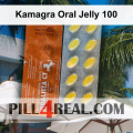 Kamagra Oral Jelly 100 372
