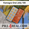 Kamagra Oral Jelly 100 738