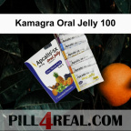 Kamagra Oral Jelly 100 784