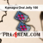 Kamagra Oral Jelly 100 990