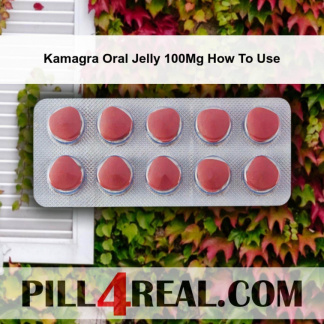 Kamagra Oral Jelly 100Mg How To Use 388