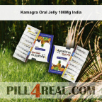 Kamagra Oral Jelly 100Mg India 313