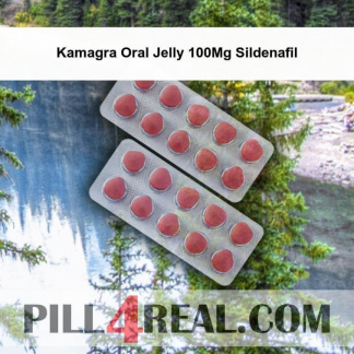 Kamagra Oral Jelly 100Mg Sildenafil 101