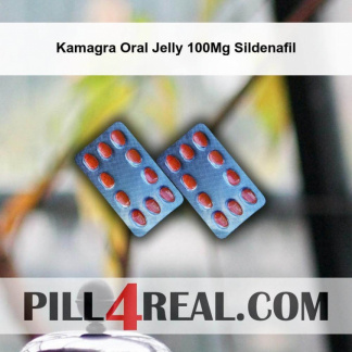 Kamagra Oral Jelly 100Mg Sildenafil 289