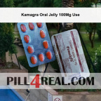 Kamagra Oral Jelly 100Mg Use 524