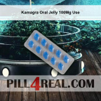 Kamagra Oral Jelly 100Mg Use 692