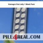Kamagra Oral Jelly 1 Week Pack 388