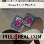 Kamagra Oral Jelly 1 Week Pack 640