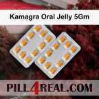 Kamagra Oral Jelly 5Gm 339