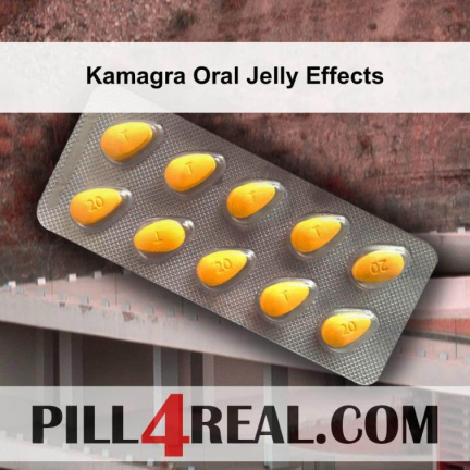 Kamagra Oral Jelly Effects 256
