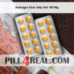 Kamagra Oral Jelly Gel 100 Mg 709
