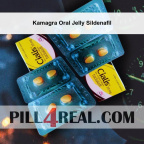 Kamagra Oral Jelly Sildenafil 766