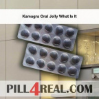 Kamagra Oral Jelly What Is It 027