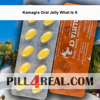 Kamagra Oral Jelly What Is It 760