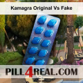 Kamagra Original Vs Fake 846