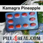 Kamagra Pineapple 140