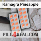Kamagra Pineapple 353