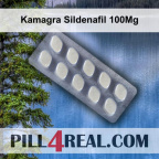 Kamagra Sildenafil 100Mg 051
