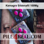 Kamagra Sildenafil 100Mg 182