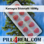 Kamagra Sildenafil 100Mg 417