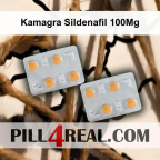 Kamagra Sildenafil 100Mg 646