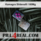Kamagra Sildenafil 100Mg 958
