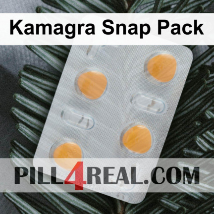 Kamagra Snap Pack 741