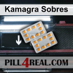 Kamagra Sobres 584