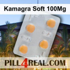Kamagra Soft 100Mg 673