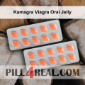 Kamagra Viagra Oral Jelly 749
