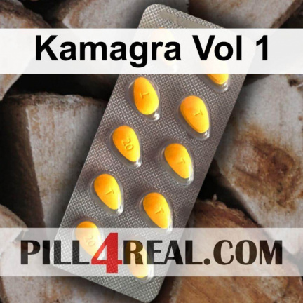 Kamagra Vol 1 079
