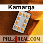 Kamarga 387