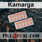 Kamarga 409