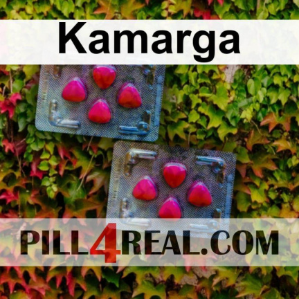 Kamarga 943
