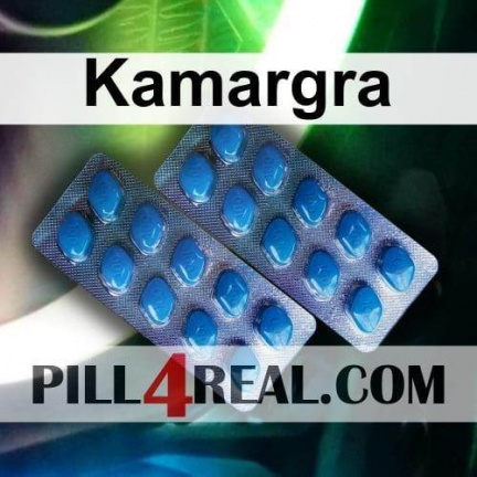 Kamargra 517