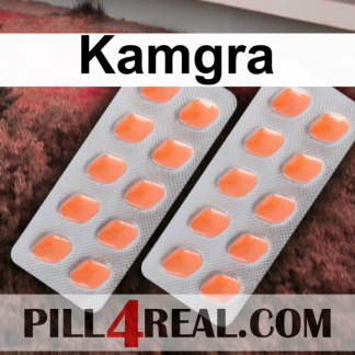 Kamgra 433