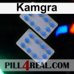 Kamgra 739
