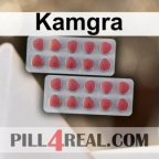Kamgra 828
