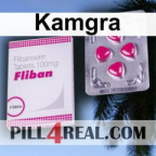 Kamgra 842