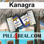 Kanagra 201