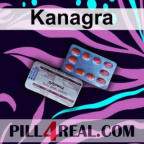 Kanagra 288