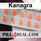 Kanagra 336